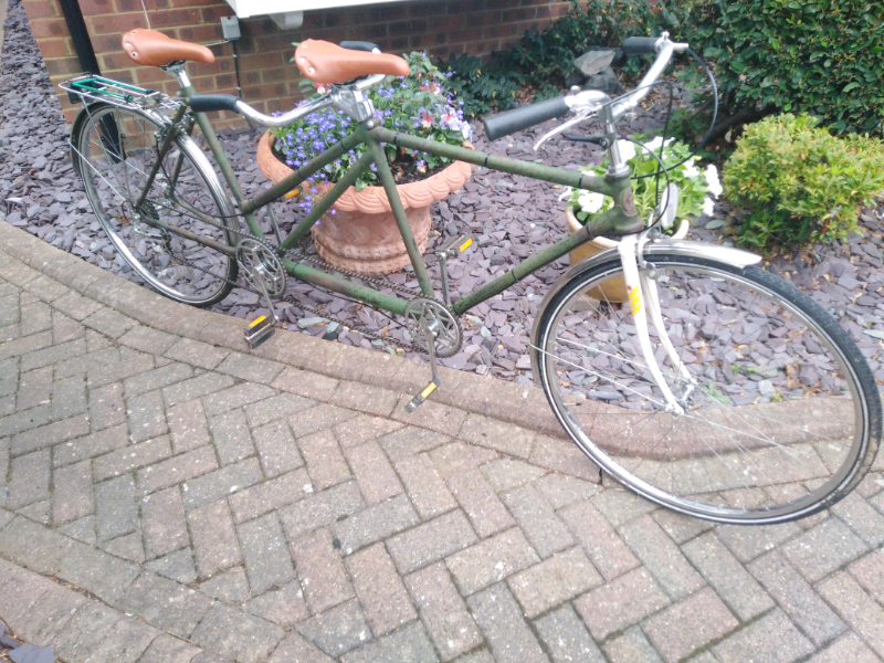 gumtree tandem bike